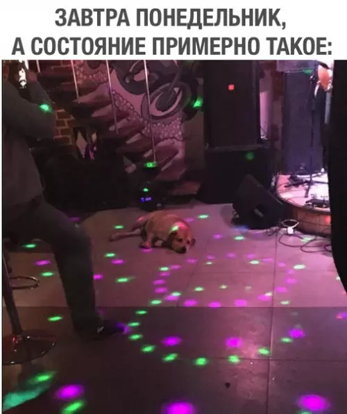 Смешная картинка №309860