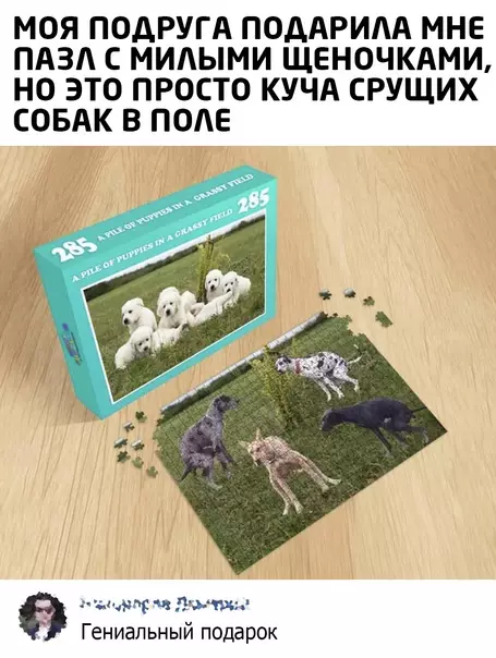 Смешная картинка №584567