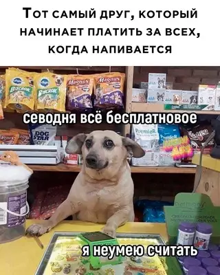 Смешная картинка №670407