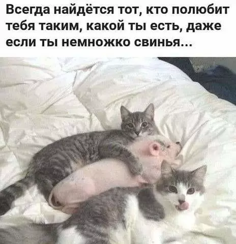 Смешная картинка №392672