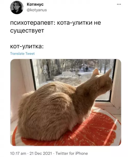 Смешная картинка №627658