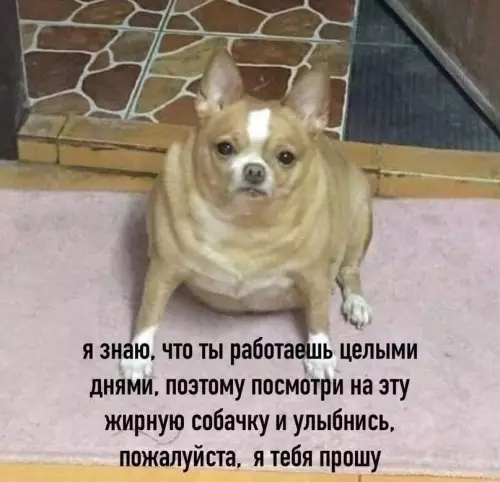 Смешная картинка №603307