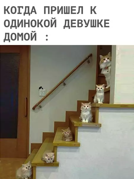 Смешная картинка №269174