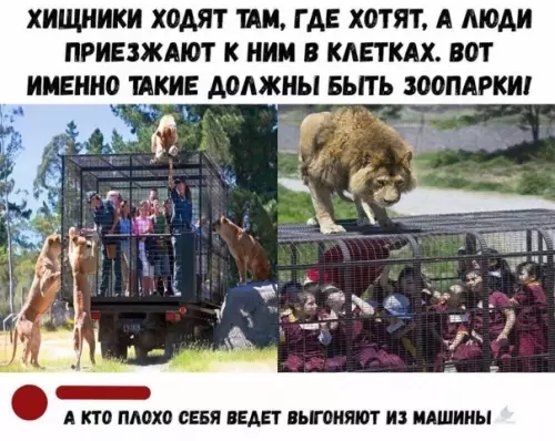 Смешная картинка №467254 животные