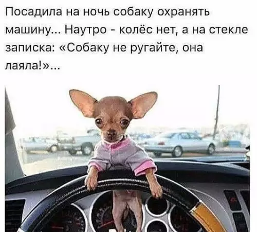 Смешная картинка №185059