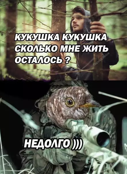 Смешная картинка №256342