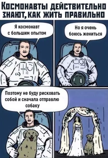 Смешная картинка №373668 собаки
