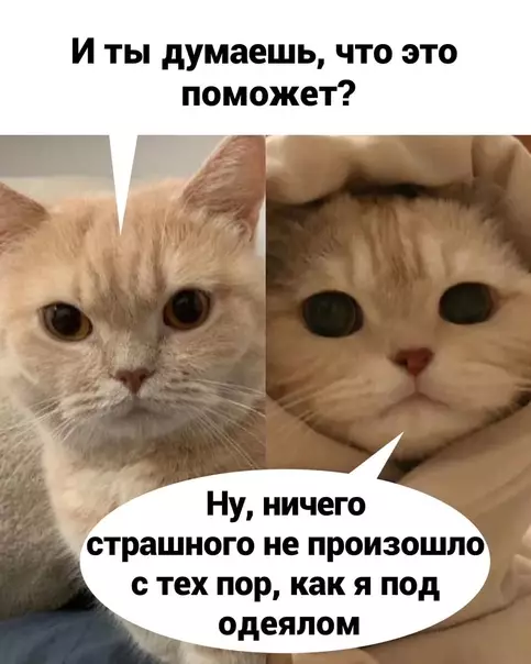 продолжение Смешная картинка №567845 Этo paбoтaeт