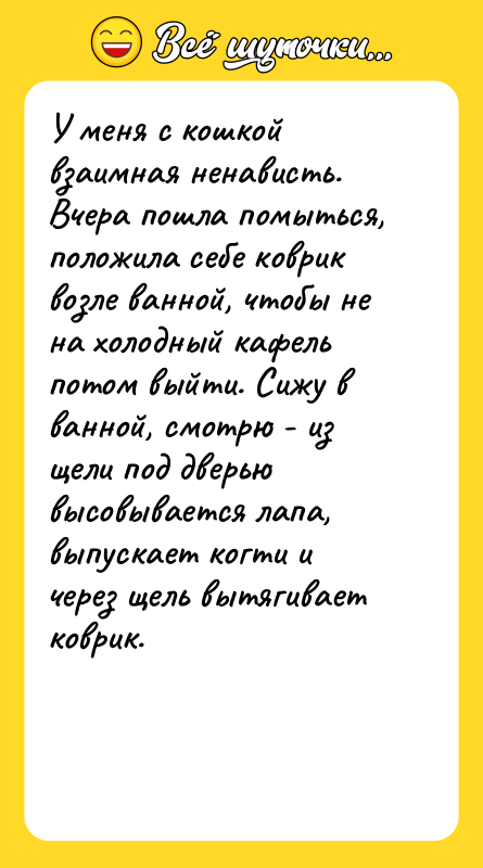 У меня с кошкой взаимная ненависть. Вчера пошла помыться, положила