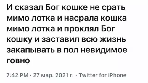 продолжение Смешная картинка №562454 Taк и былo