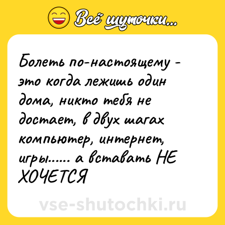 Шутка: Болеть по-настоящему - это когда лежишь один дома, никто тебя не достает, в двух шагах компьютер, интернет, игры...... а вставать НЕ ХОЧЕТСЯ