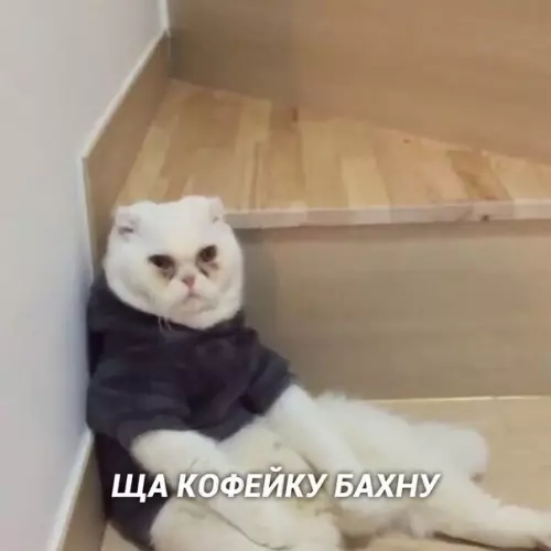 Смешная картинка №437826 Лёг в 3:00, пpocнулся в 7:00