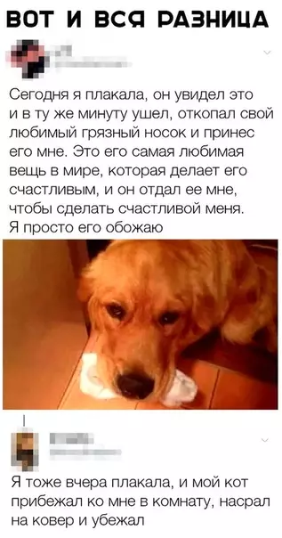 Смешная картинка №349173