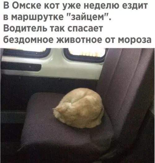 Смешная картинка №226104