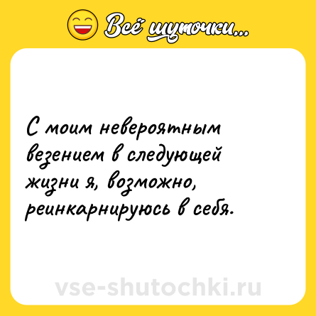 Шутка: С моим невероятным везением в следующей жизни я, возможно, реинкарнируюсь в себя.