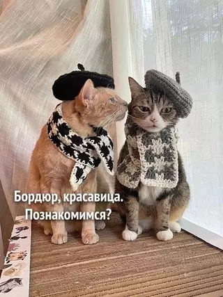Смешная картинка №713695