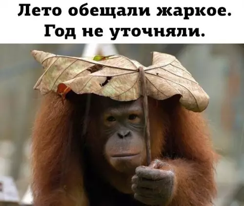 Смешная картинка №182738