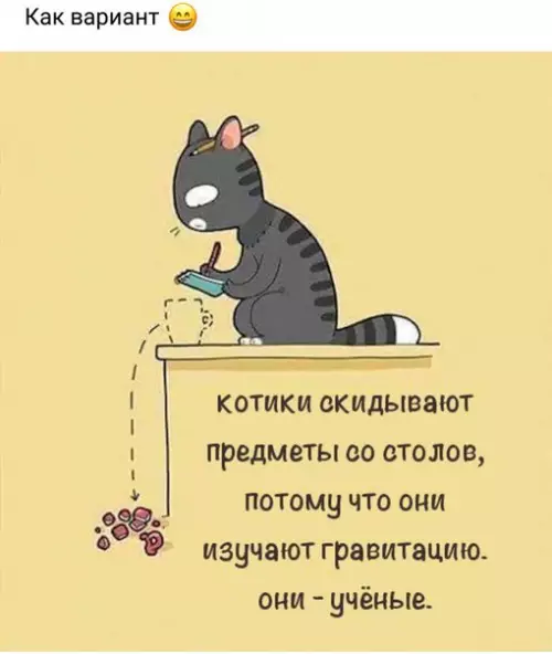 Смешная картинка №257773 коты