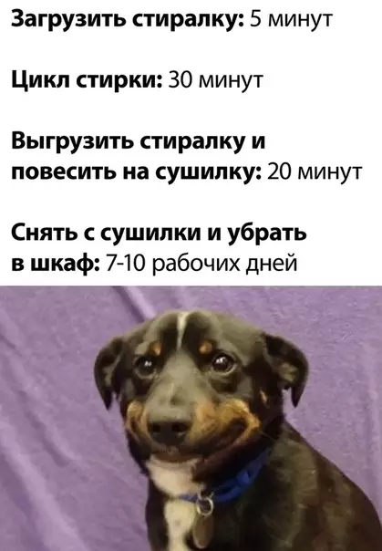 Смешная картинка №502468