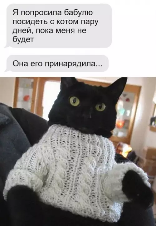 Смешная картинка №747361