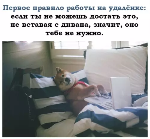 Смешная картинка №492805 Всегда работает!