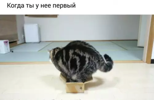 Смешная картинка №269275