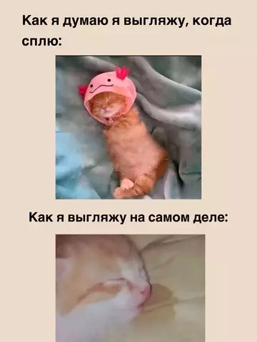 Смешная картинка №738572