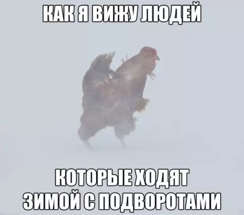 Смешная картинка №228976