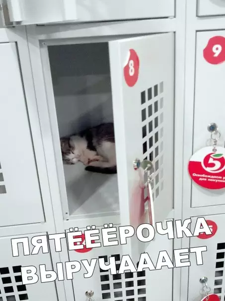 Смешная картинка №400518