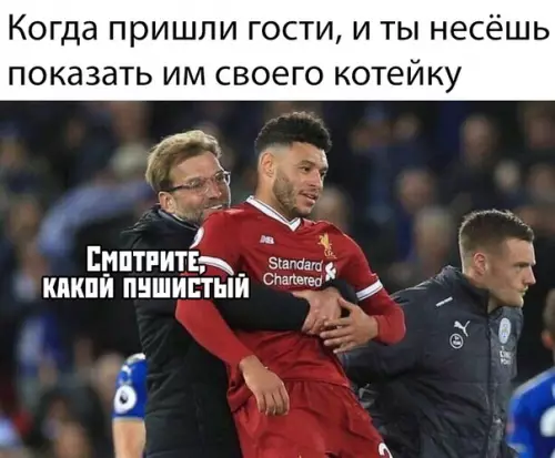 Смешная картинка №372670