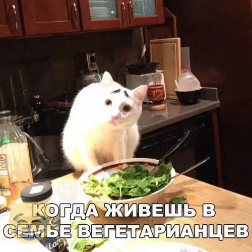 Смешная картинка №334482 #приколы #картинки #мемы ?