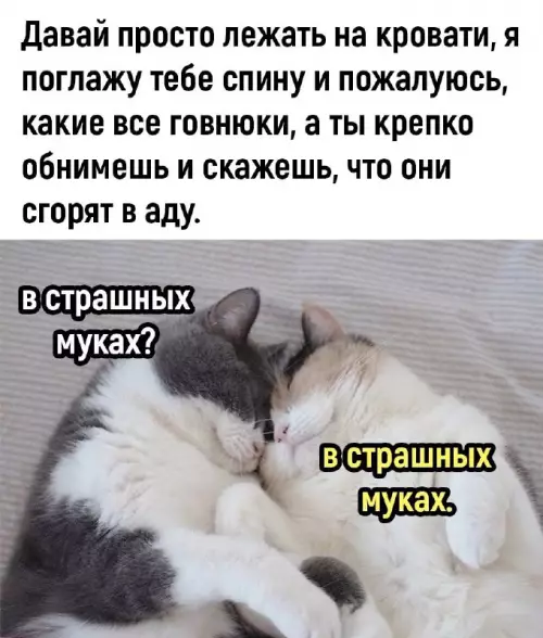 Смешная картинка №721847