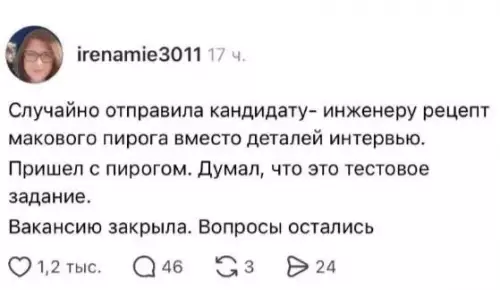 Инженер против пирога: эпичный провал 🥧 - Случайно отправила кандидату- инженеру рецепт макового пирога вместо деталей интервью.
