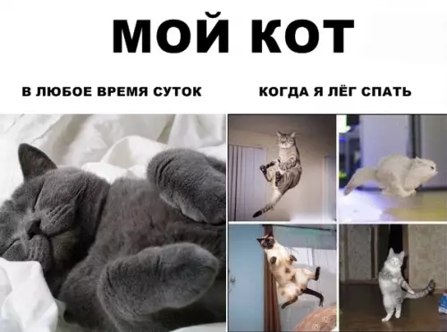 Смешная картинка №294661