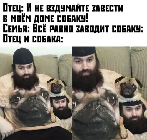 Смешная картинка №395252