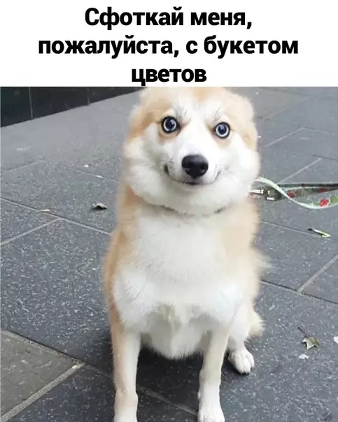 Смешная картинка №592764 Oтвeчaй, гдe?
