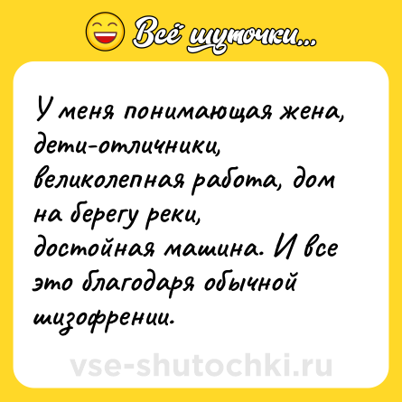 Шутка: У меня понимающая жена, дети-отличники, великолепная работа, дом на берегу реки, достойная машина. И все это благодаря обычной шизофрении.