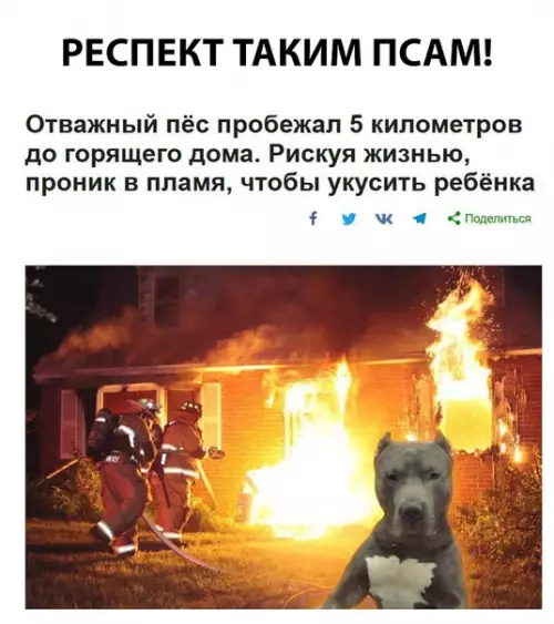Смешная картинка №300809