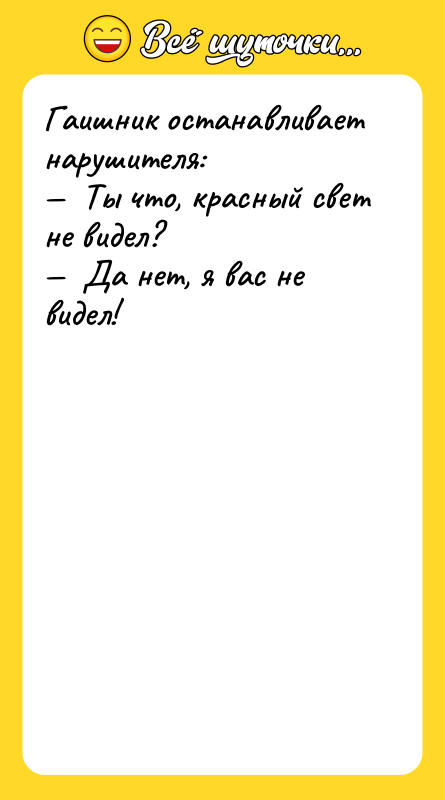 Гаишник останавливает нарушителя: —  Ты что, красный свет не