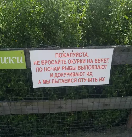Смешная картинка №378461 Рыбы, ну как так