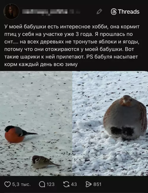 Смешная картинка №804854 От бабушек голодным ещё никто не уходил