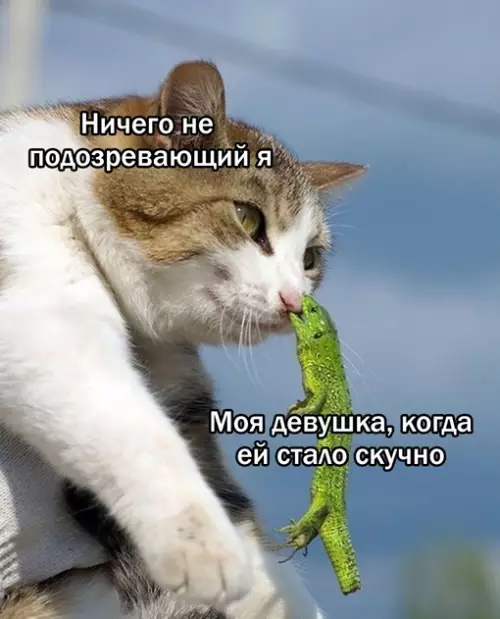 Смешная картинка №692839