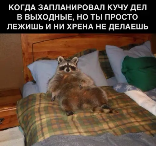 Смешная картинка №305605
