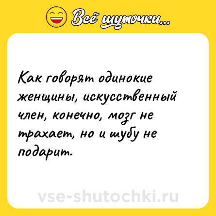 Шутка: Как говорят одинокие женщины, искусственный  член, конечно, мозг не трахает, но и шубу не подарит.