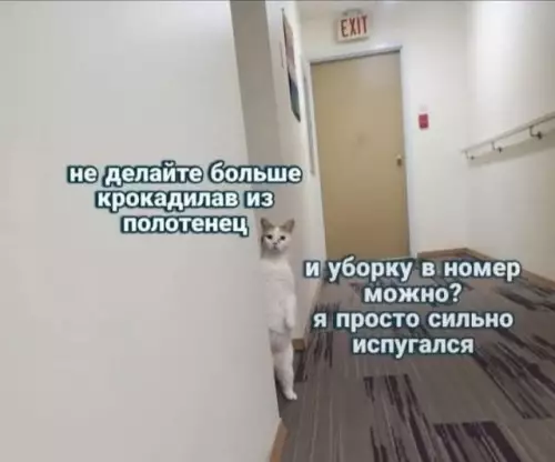 Смешная картинка №802530