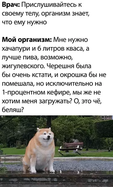 Смешная картинка №509349