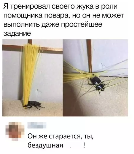 Смешная картинка №347271 У него лaпки.