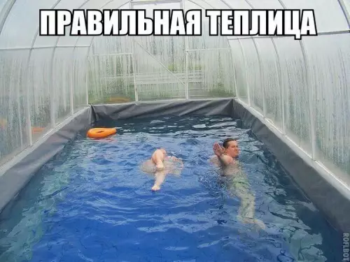 Смешная картинка №239473