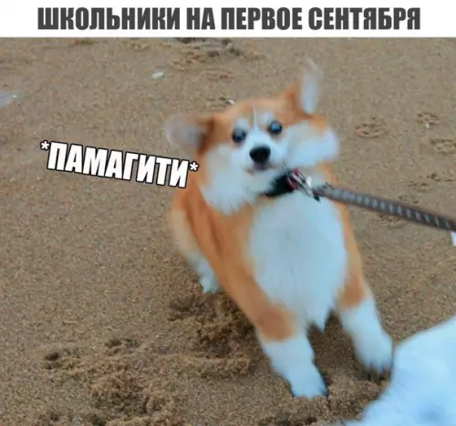 Смешная картинка №202734