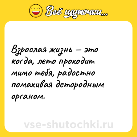 Шутка: Взрослая жизнь — это когда, лето проходит мимо тебя, радостно помахивая детородным органом.